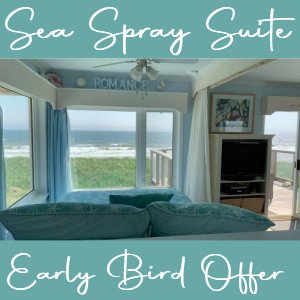 Stay and Surf - Moonlight Beach Suites