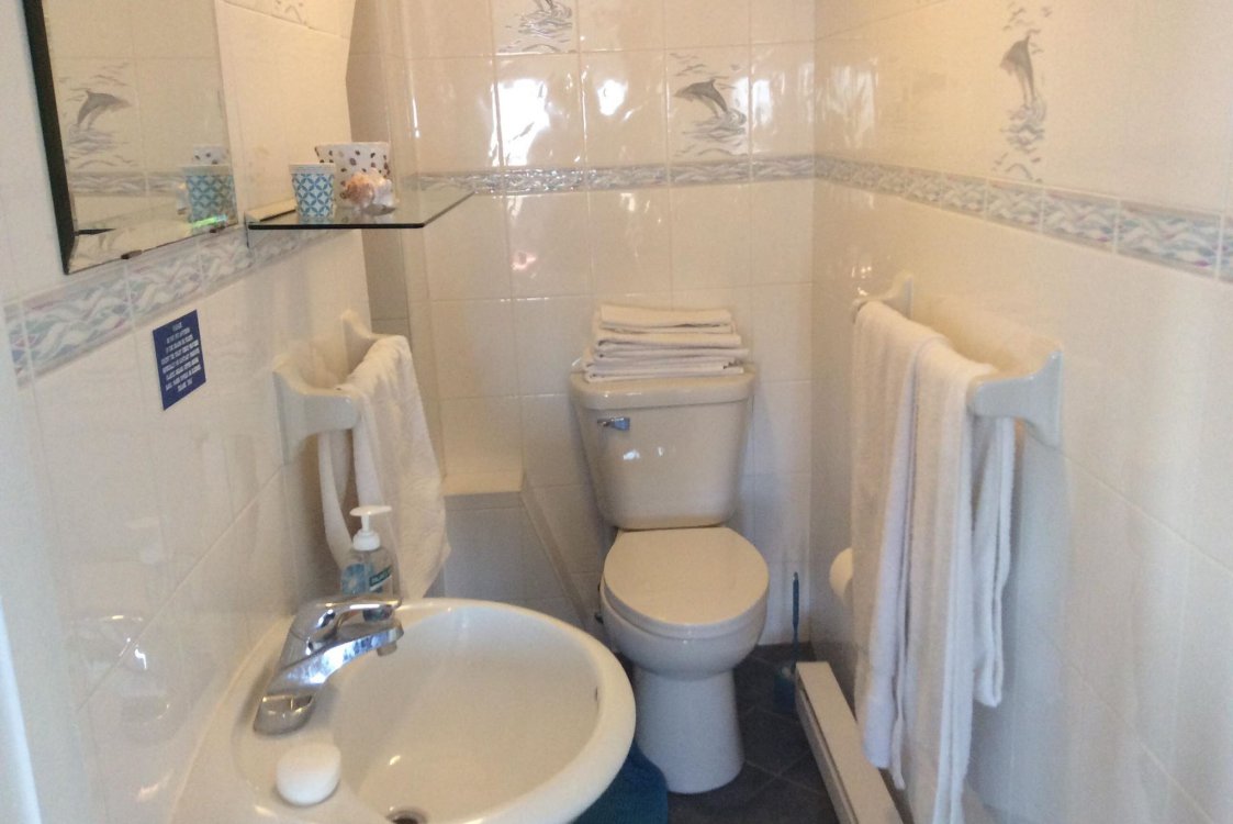 Fully tiled bathroom (sink, toilet, shower) in beach themed bathroom